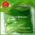 Organic Pollution free Chinese frozen pakchoi cabbage